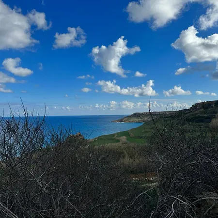 Ortensia Xagħra